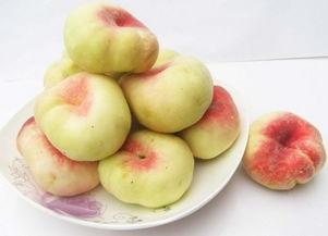 新疆蟠桃爆料新闻,甜蜜果实背后的故事与传承